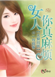 全职高手珍藏版epub