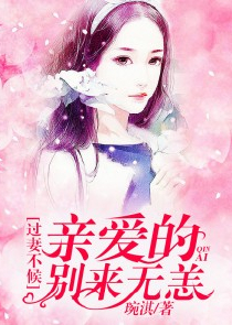 美丽小仙宠中文版2