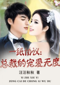 黄书小说