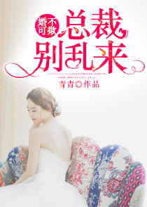 陛下，求休妻