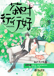 佛门恶妻全文阅读