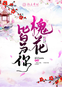 云中不见花