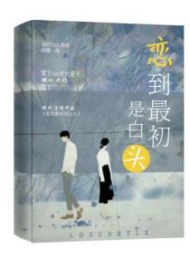 四方集团言情小说