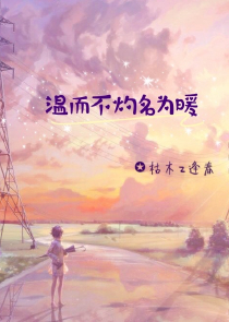 类似毒岛冴子小说