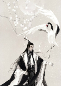 他的月光