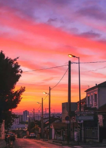 好吊泡