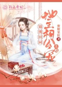 韩国时空战记rayforce