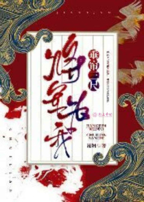 中国近现代小说推荐