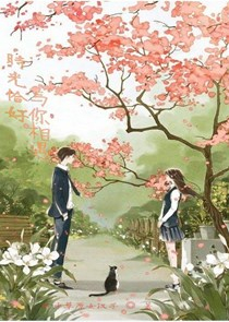 叶绿体基因组