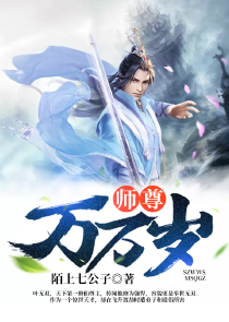 全职法师h