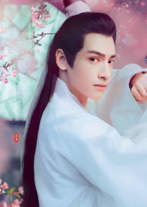 番茄免费小说电脑版