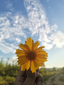 十个师兄们太腹黑