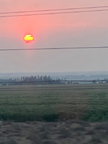 九霄大帝重生在都市