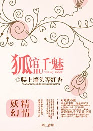 豪门小老婆原版