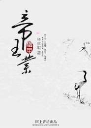 吴彦祖、袁泉2010最新大片《如梦》DVD中字