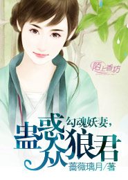 1024分辨率《雪花秘扇》BD中字/李冰冰+全智贤