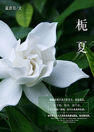 鬼语者第六季剧情