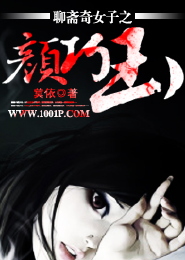 精灵宝可梦之无限之梦