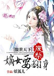 盗皇txt下载