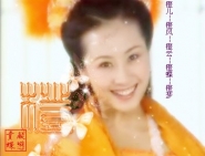男扮女装当歌手的小说