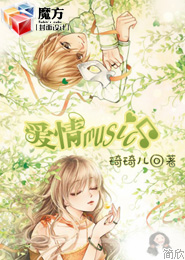 电视奋斗同人小说
