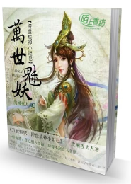 大宋枭途