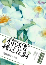 2011最新《超级大坏蛋》DVD中英双字