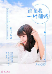 奶爸的鄉村小說