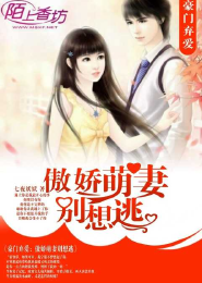 女大男小师生恋的现代小说