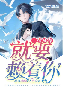 龍組特工全文免費閱讀