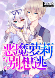 上流小貴婦