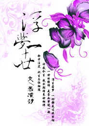 玲珑染血之代嫁弃后