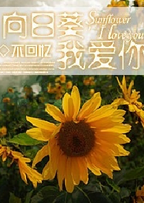 有没有类似庆余年的小说